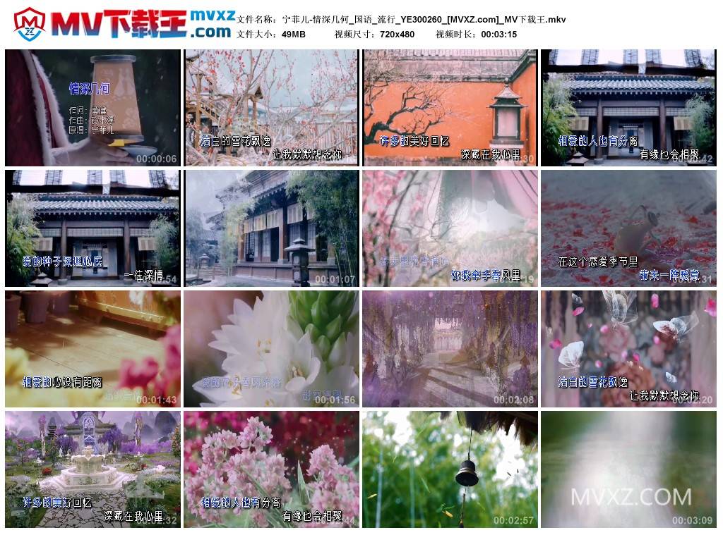 宁菲儿-情深几何_国语_流行_YE300260